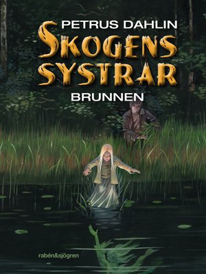 cover image of Brunnen
